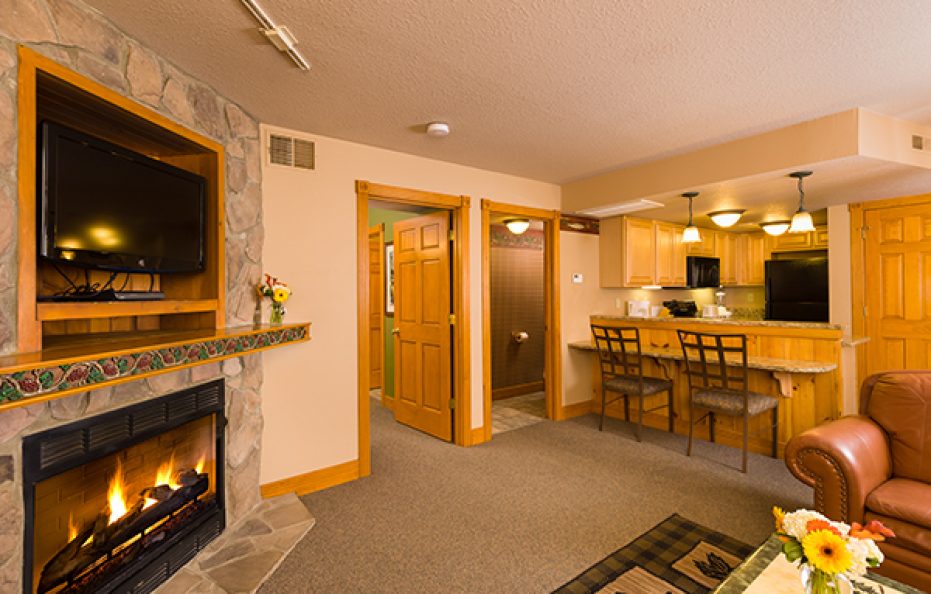Smokey Mountiain Two Bedroom Accessible Villa